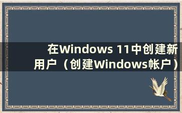 在Windows 11中创建新用户（创建Windows帐户）